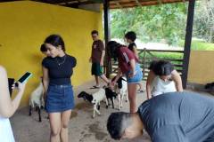 IMG_20251030_143444212