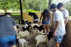 IMG_20251030_143448596