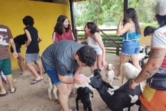 IMG_20251030_143454383