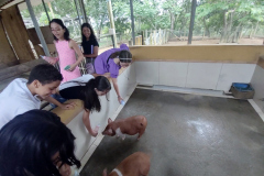 IMG_20231026_141810118_BURST001