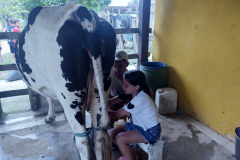 IMG_20231026_143212778_BURST001