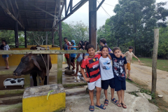 IMG_20231026_143329788_BURST001