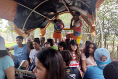 IMG_20231026_150040563