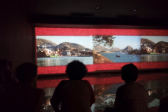 IMG_20230614_143301044_HDR