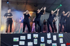 IMG_20221125_203345077