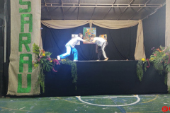 IMG_20231124_202446679