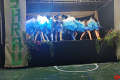 IMG_20231124_203715191