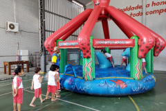 IMG_20231017_133704330