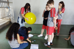 IMG_20230711_081300885_BURST001