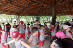 IMG_20231005_135016883