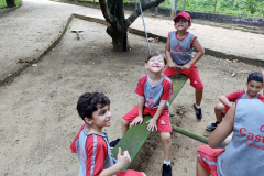 IMG_20231005_140843470_BURST001_TOP