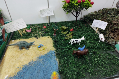 IMG_20230510_082616072