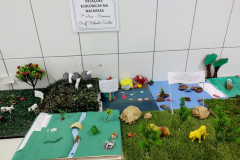 IMG_20230510_082641594