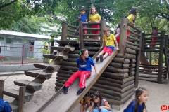 IMG_20260611_152513