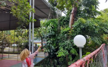 Aula prática na área verde da escola com a 3ª Série