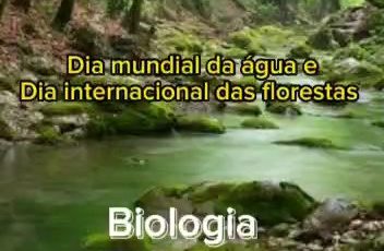 Dia da Água – Ensino Médio