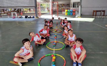 Elefante Colorido – G5