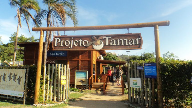 Visita Pedagógica – Projeto Tamar – G5