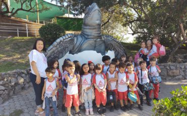 Projeto Tamar – G4