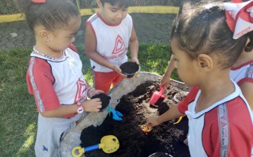 Semana do Meio Ambiente – G4