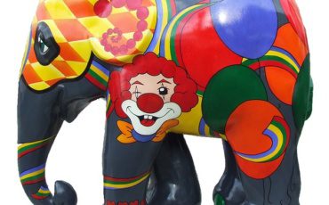 Elefante colorido – G5