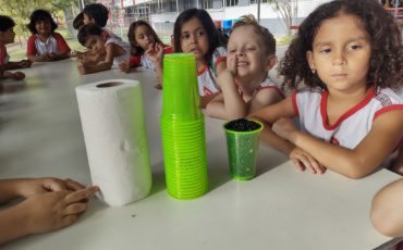 Sementes – Antes – G4