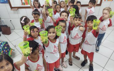 Sementes – Depois – G4