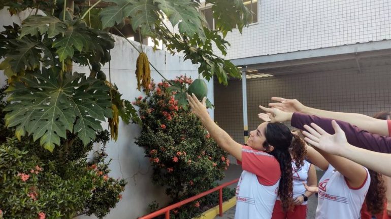 3ª Série – Aula de Biologia: Explorando os Órgãos das Plantas