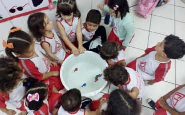 Dia Mundial da Água – G3