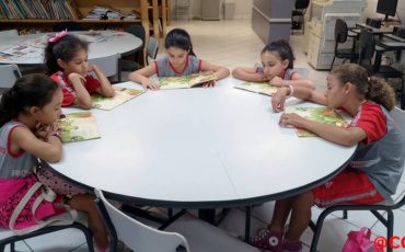 Tempo de caju – 3º Ano