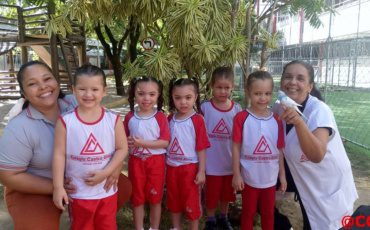 G4 – Periquitos Australianos