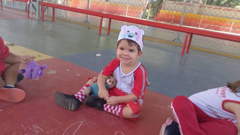 G3 – Urso
