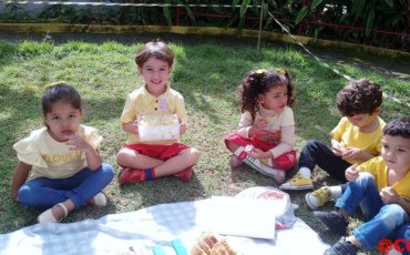 Piquenique das vogais – G3