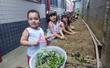 Plantas para mostra – G3