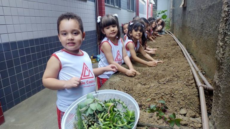 Plantas para mostra – G3