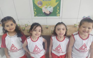 G4 Plantio de Feijão