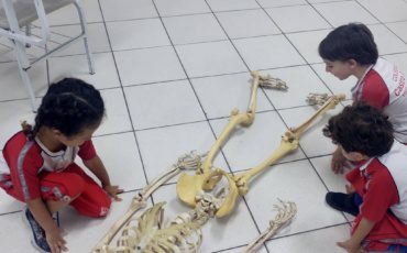 G3 Aprendendo sobre o corpo humano