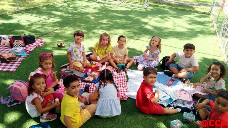 G4 – Piquenique em cores