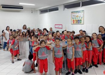 1º Anos – Cores Primárias