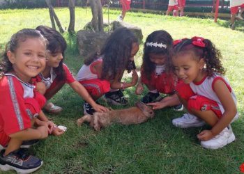 G4 – Caça aos ovos