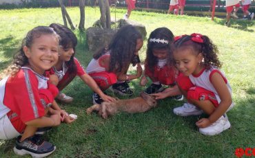 G4 – Caça aos ovos