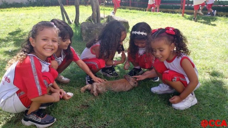 G4 – Caça aos ovos