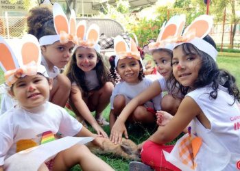 Caça aos Ovos – CCA Integral