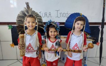 G3 – Cultura Indígena