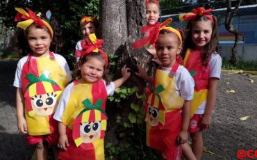 CCA Integral – Monteiro Lobato