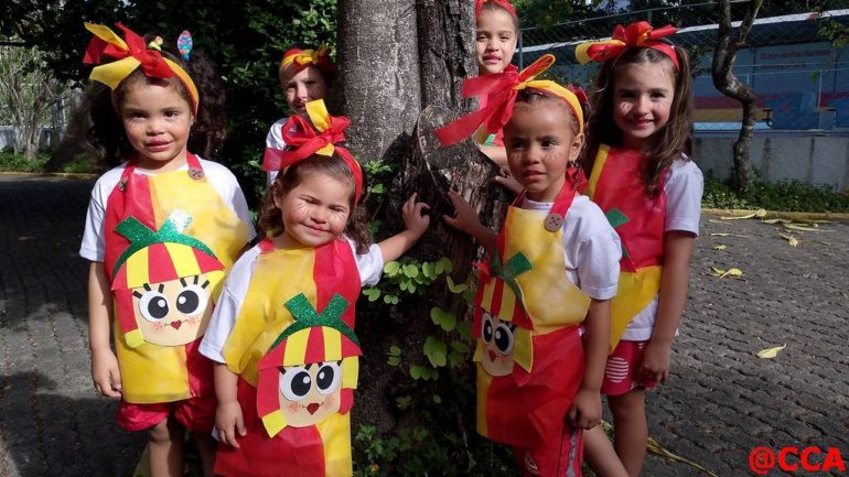 CCA Integral – Monteiro Lobato