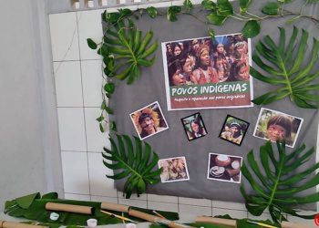G4 – Povos Indígenas