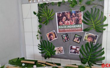 G4 – Povos Indígenas