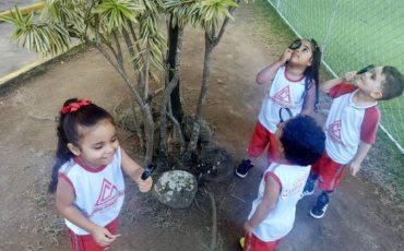 G3 – Exploradores da Natureza