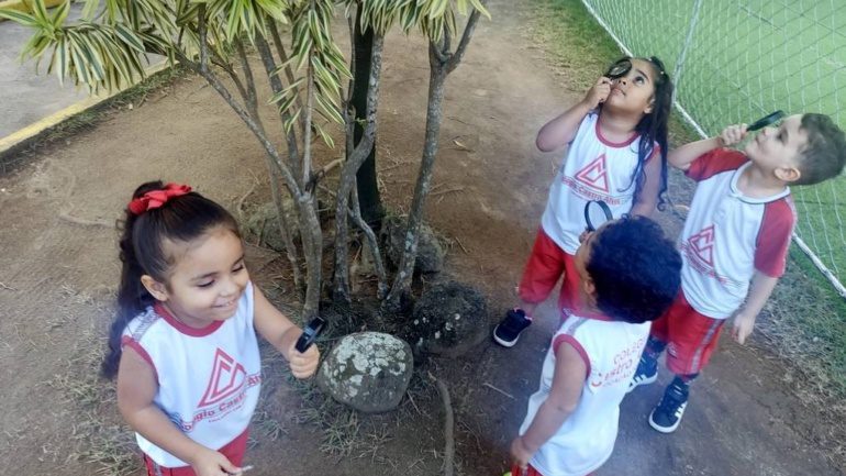 G3 – Exploradores da Natureza
